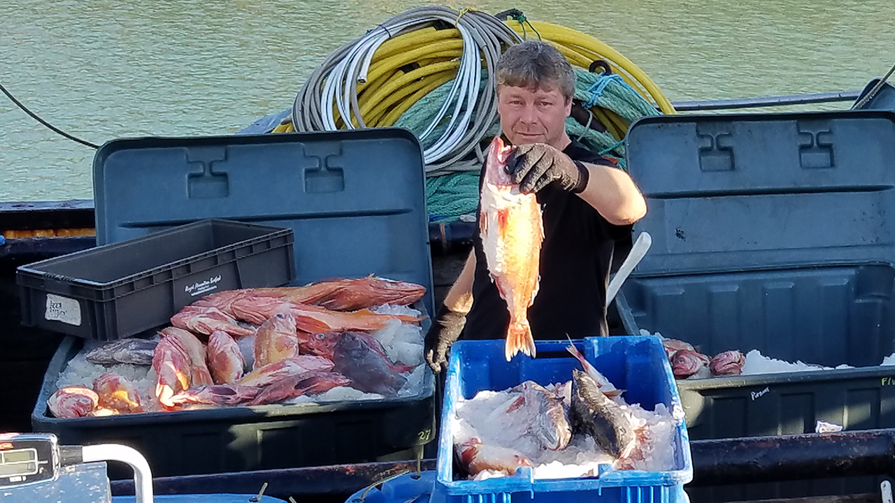 SF fishermen selling their catch to the public right off their boats