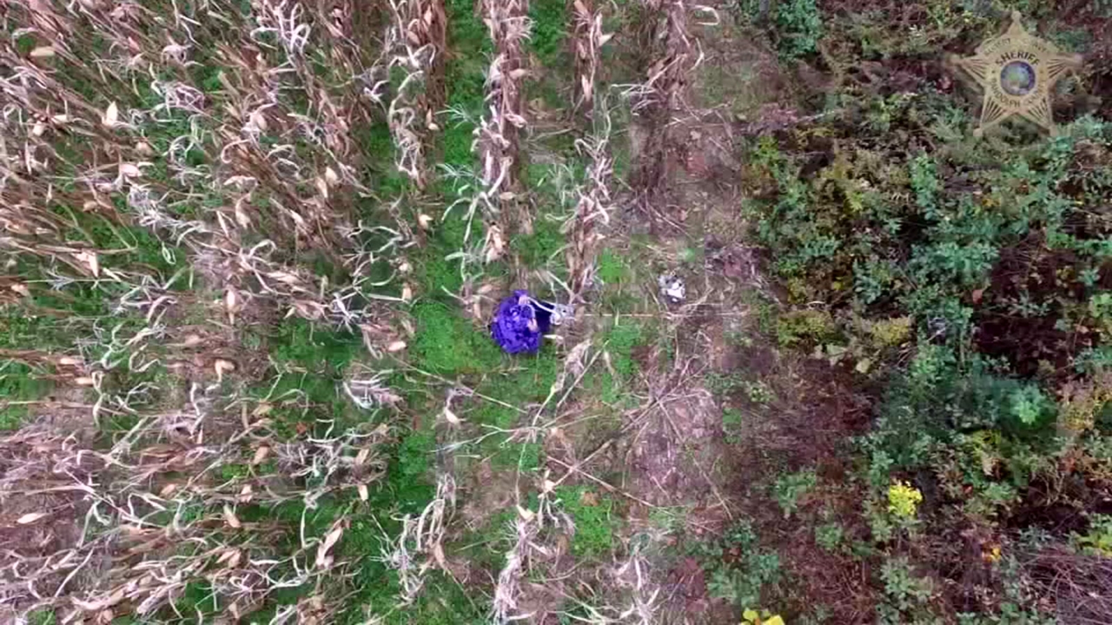 Video: Randolph County deputies use drone to find missing person ...