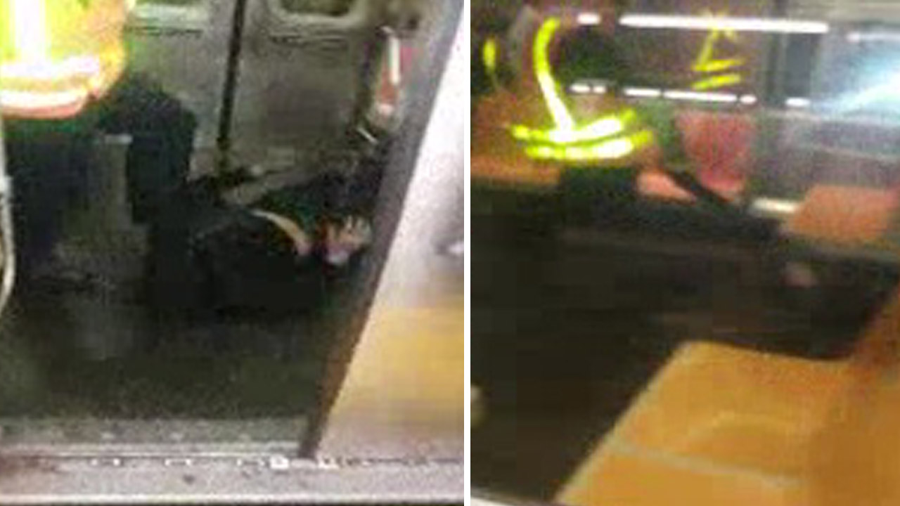 Video shows MTA worker dragging man through subway