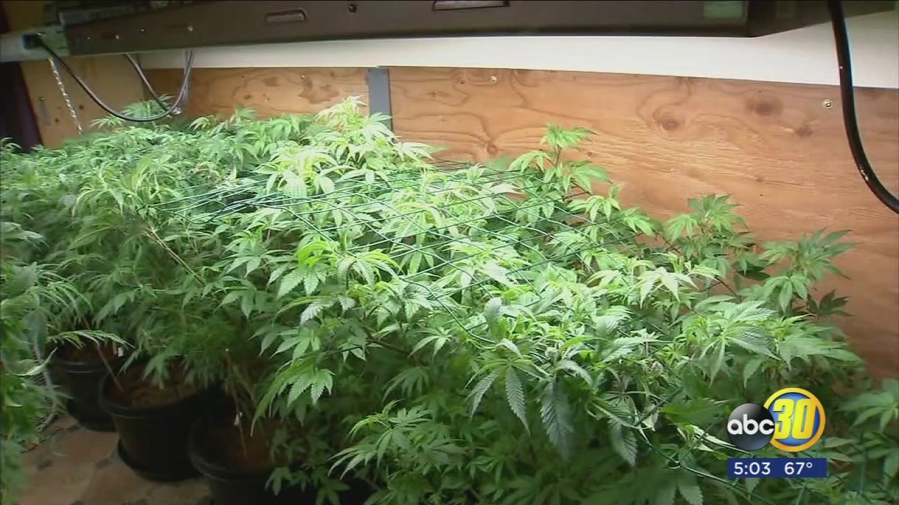 Hanford expected to award first cannabis permits tonight
