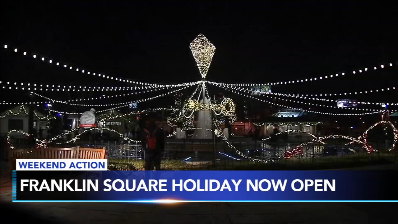 Weekend Action: Veterans Day Activities