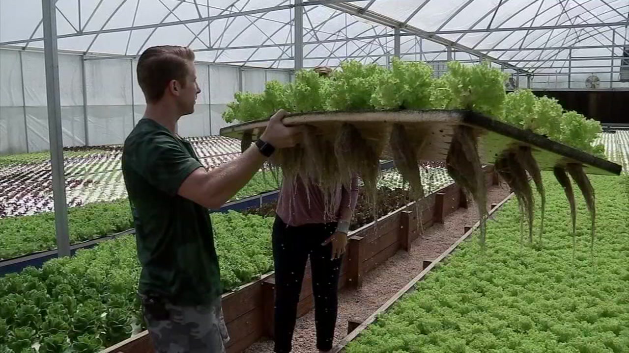 Why eating local produce just got more innovative