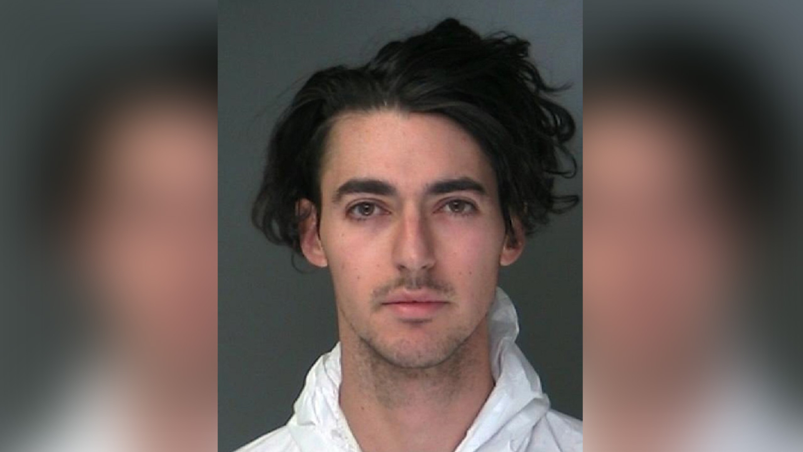 Long Island man stabbed mother to death, police say - ABC7 New York