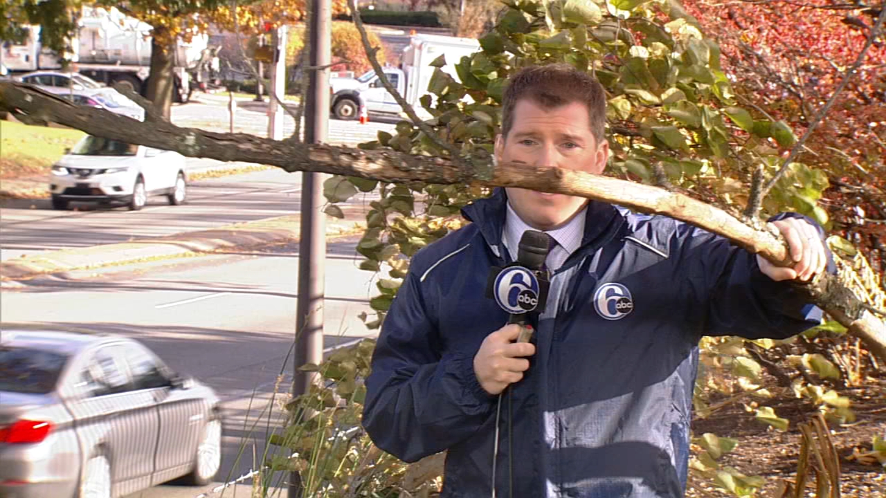 Large branch falls near Chris Sowers