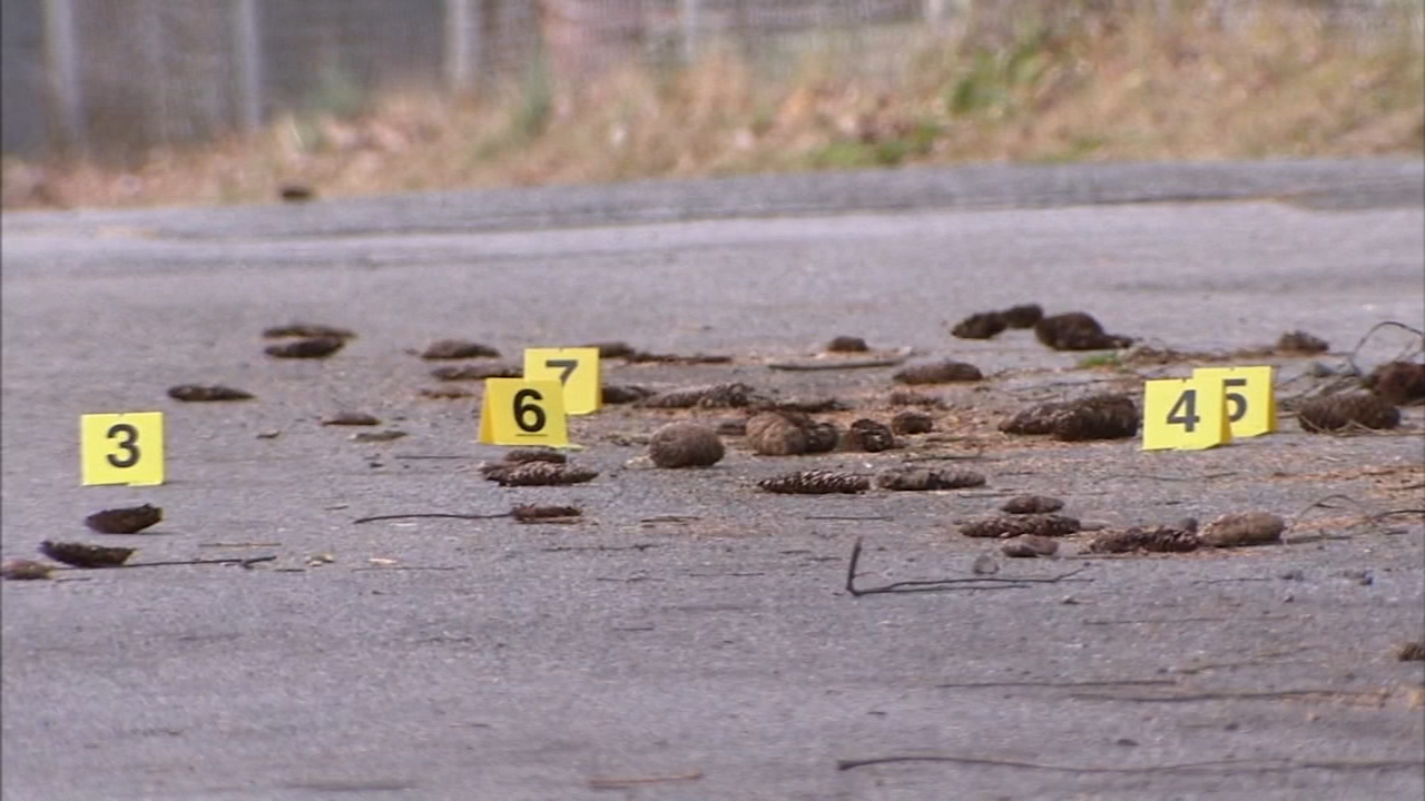 Shots fired at police; man in custody