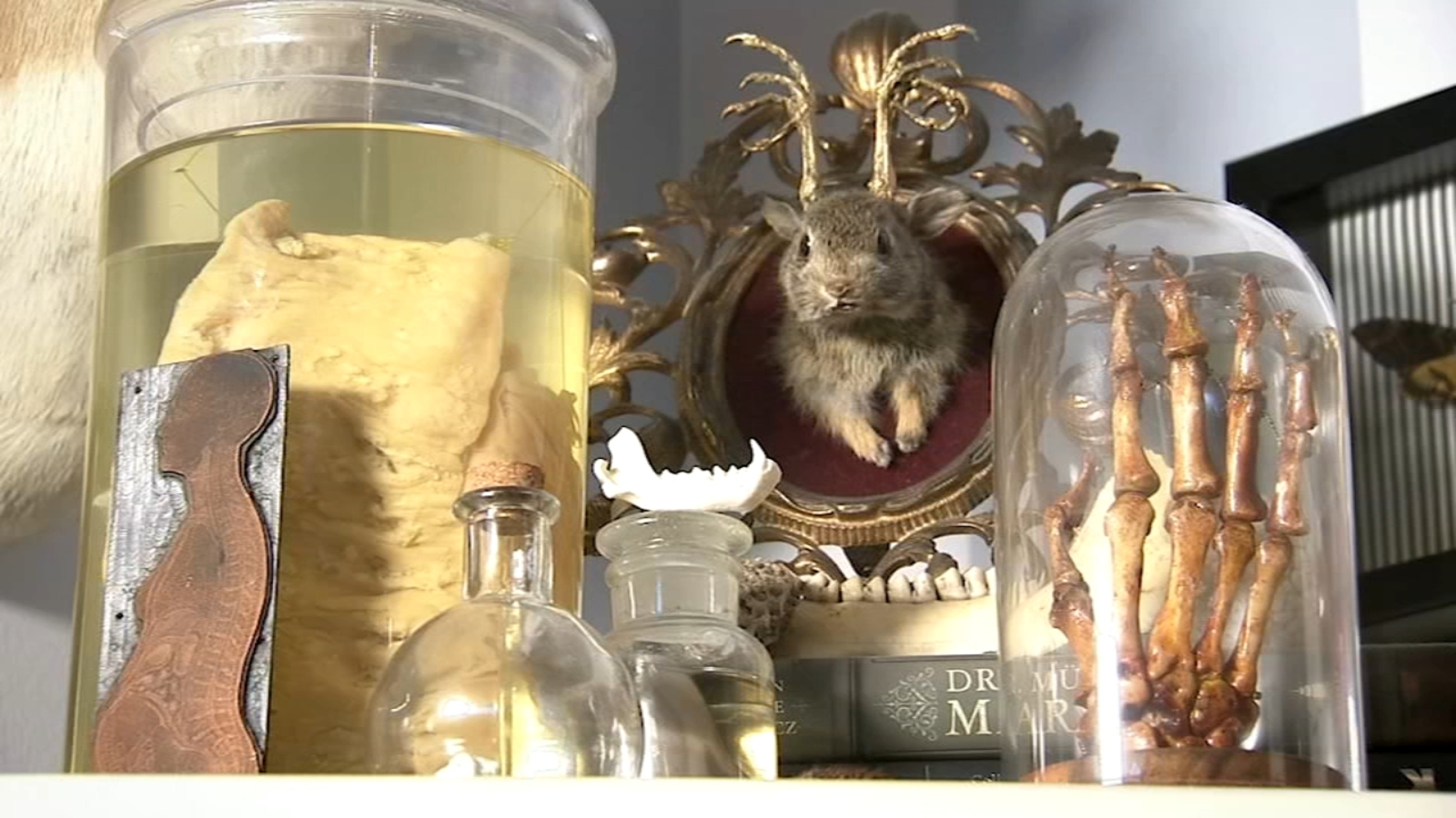 South Jersey woman posts autopsy photos on social media ABC7 New York