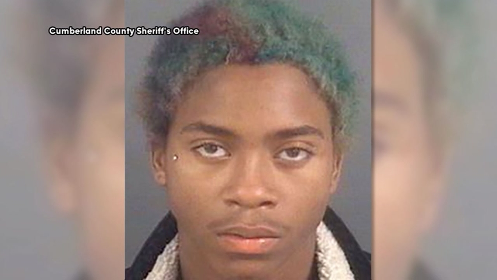 Teen accused of attacking girlfriend, decapitating puppy
