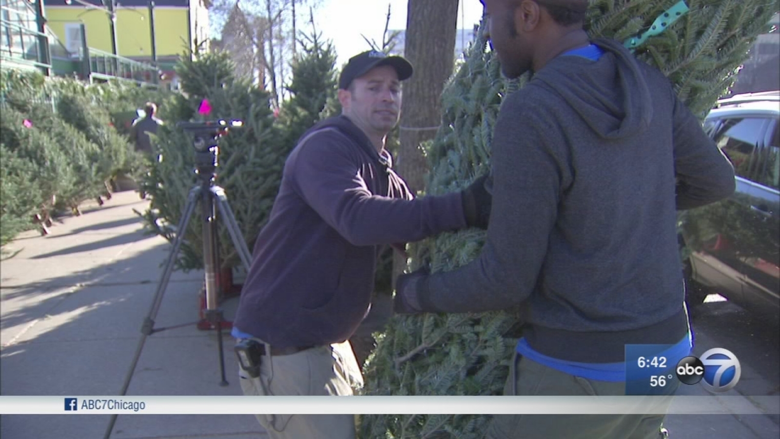 Christmas tree shortage leads to higher prices ABC7 Chicago