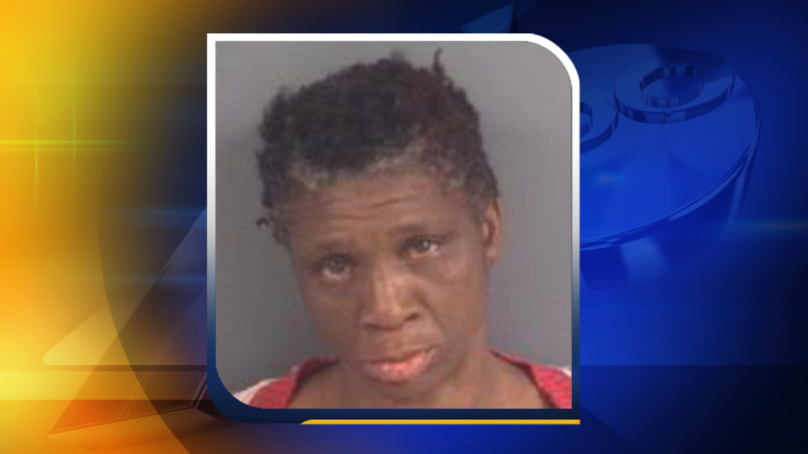 Police Woman disfigured after being stabbed with box cutter ABC11