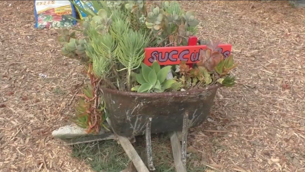 Inglewood middle school focuses on the environment