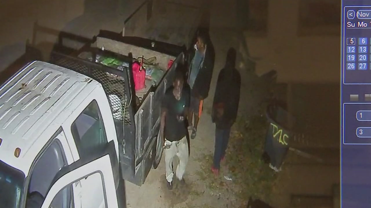 Landscaping heist