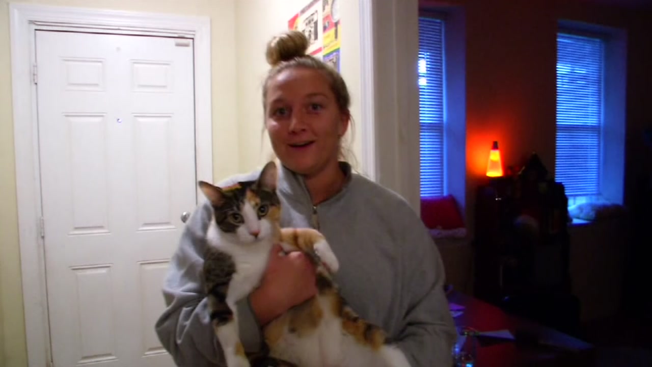 Cat alerts college students to intruder inside apartment