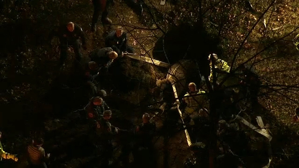 Dramatic video: Horse rescued from cesspool on Long Island