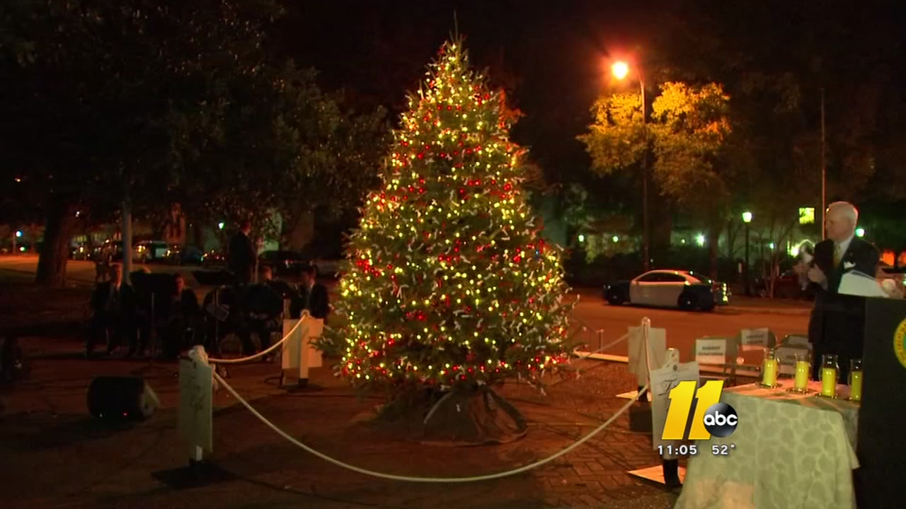 nc tree of life shines light on deadly senseless crashes