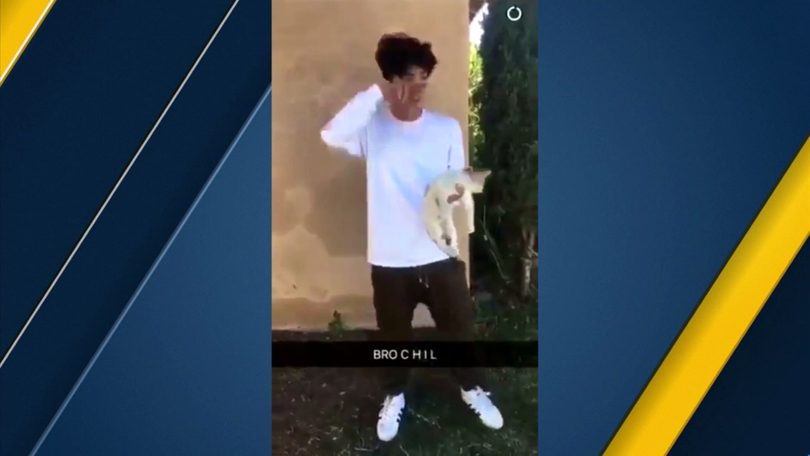 Ontario PD investigating disturbing video of boy throwing cat onto street ABC7 Los Angeles