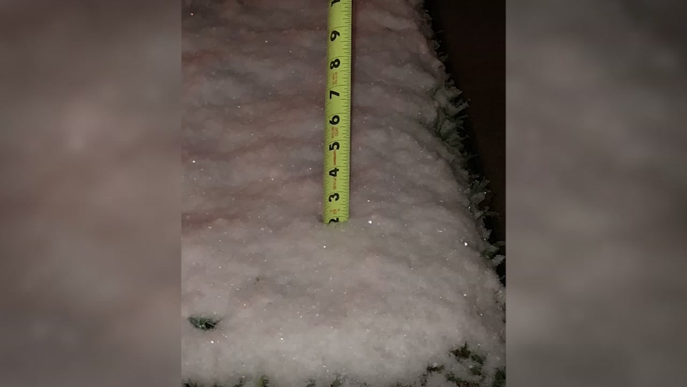 Hey! Hey! Snow day in Texas