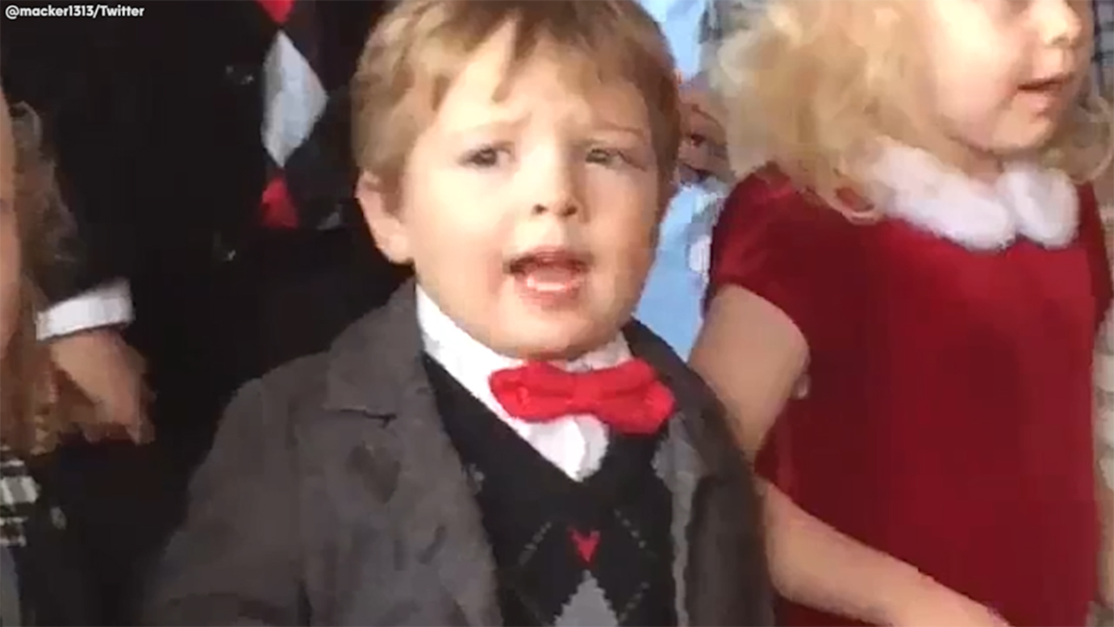'I sing this in the car:' Gus' thinking out loud wins the internet ...