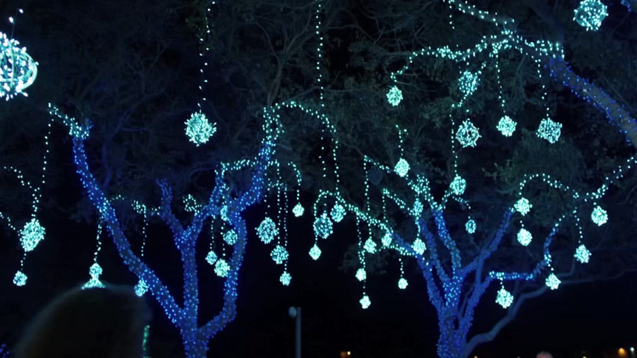 Check This Out Dec. '17 - Moody Gardens 