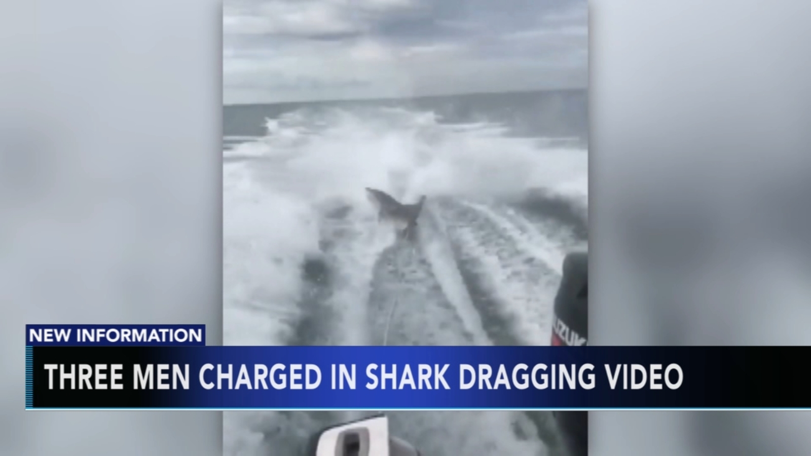 3 Florida men charged in shark dragging video incident 6abc Philadelphia