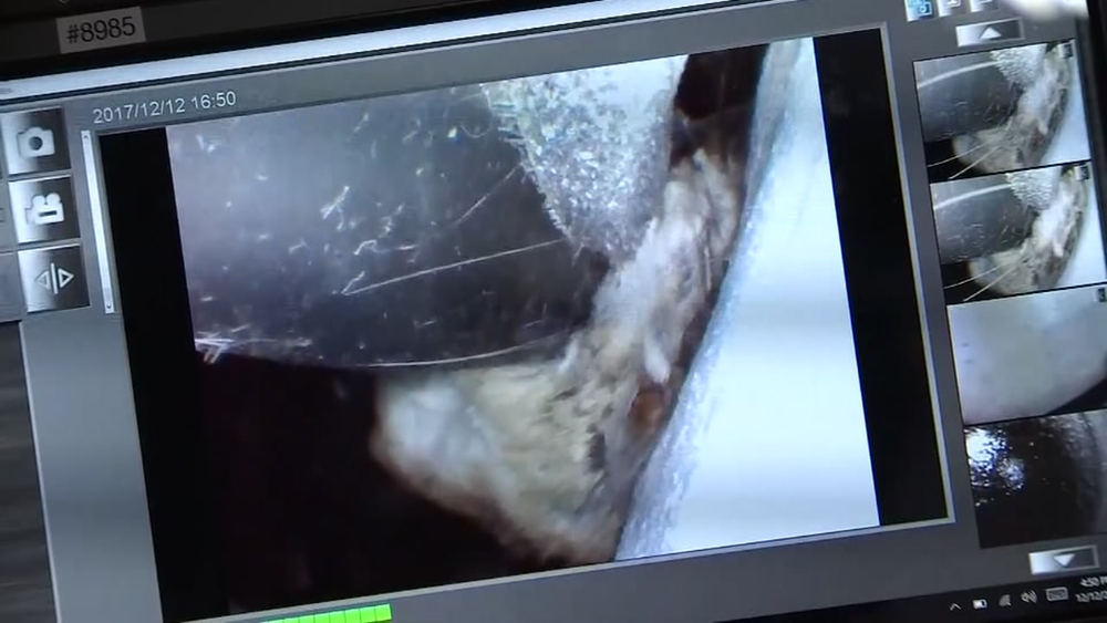 Woman discovers maggots in her smelly car