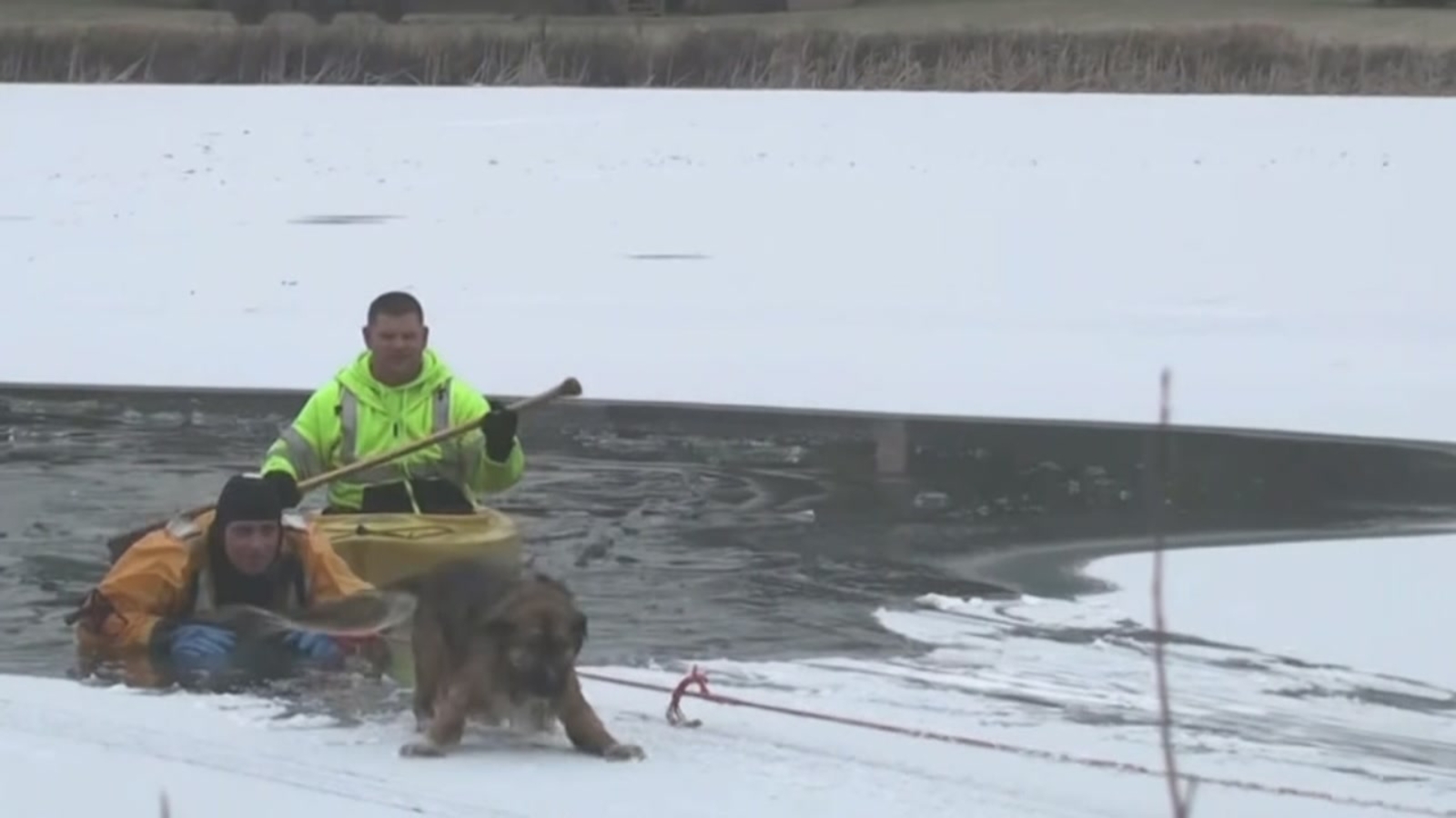 A man and his dog had to be rescued from an icy pond - ABC13 Houston