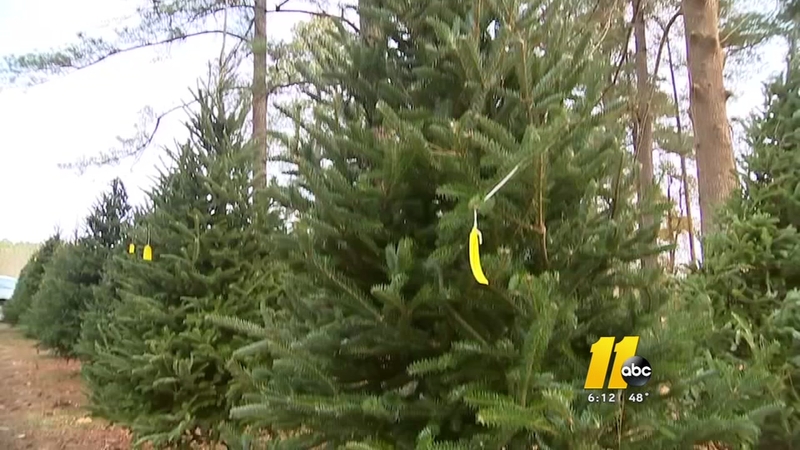 ABC11 Together: Christmas tree bonus for active duty military - ABC11