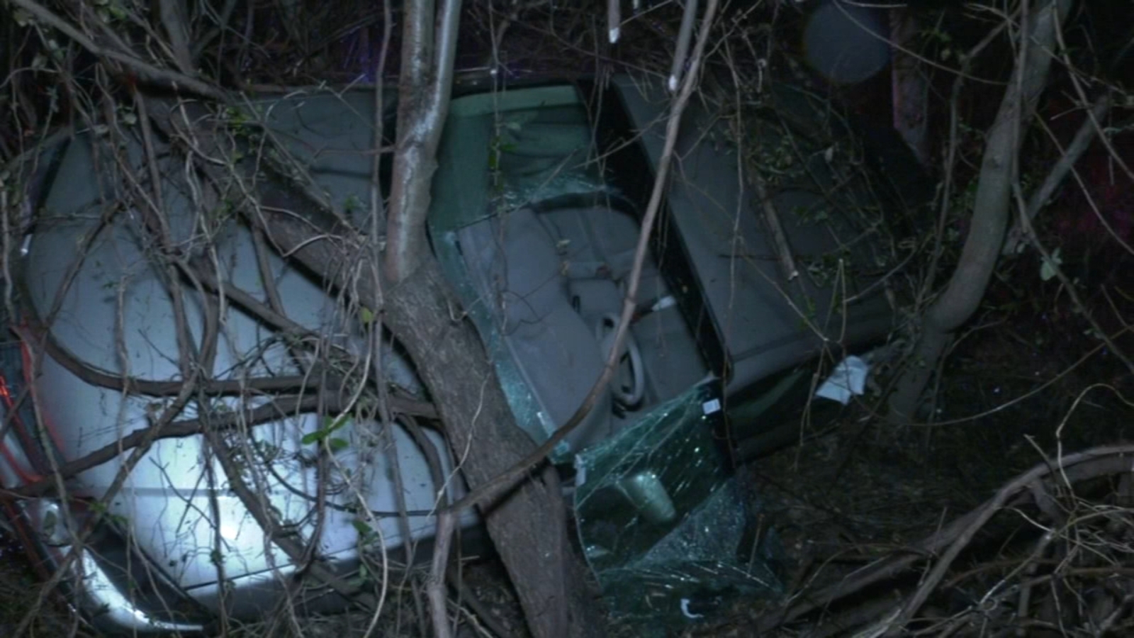 Driver loses control of vehicle, drives off road in Fairmount Park