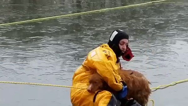 Dog rescued from frozen lake in Delaware