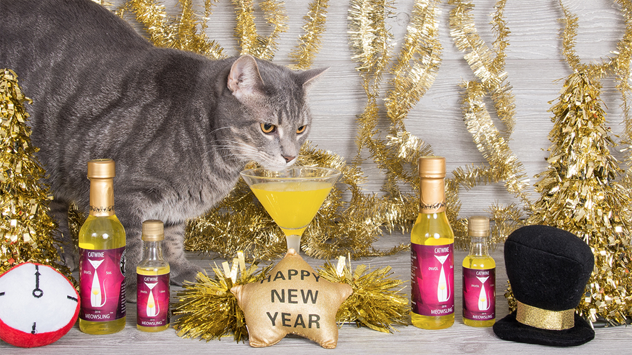 Now even your pet can ring in the new year with a glass of bubbly
