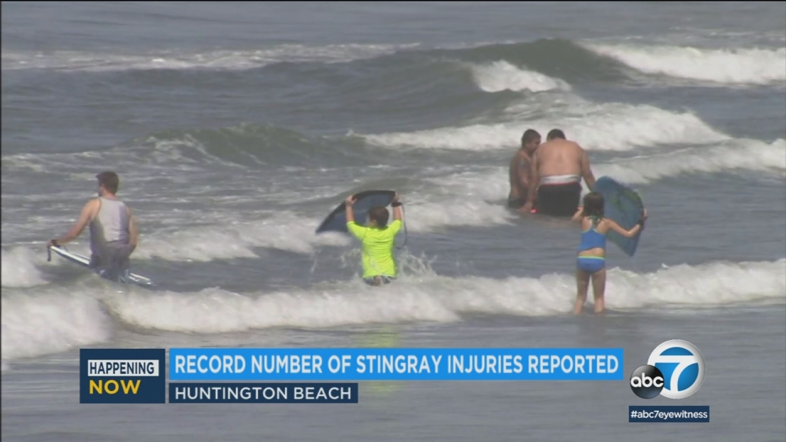 Stingray invasion in Huntington Beach raising concerns ABC7 Los Angeles