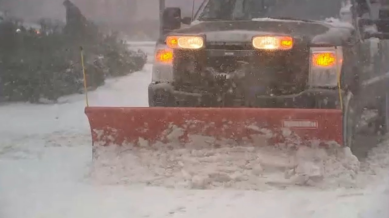 7 On Your Side How to fight poststorm price gouging ABC7 New York