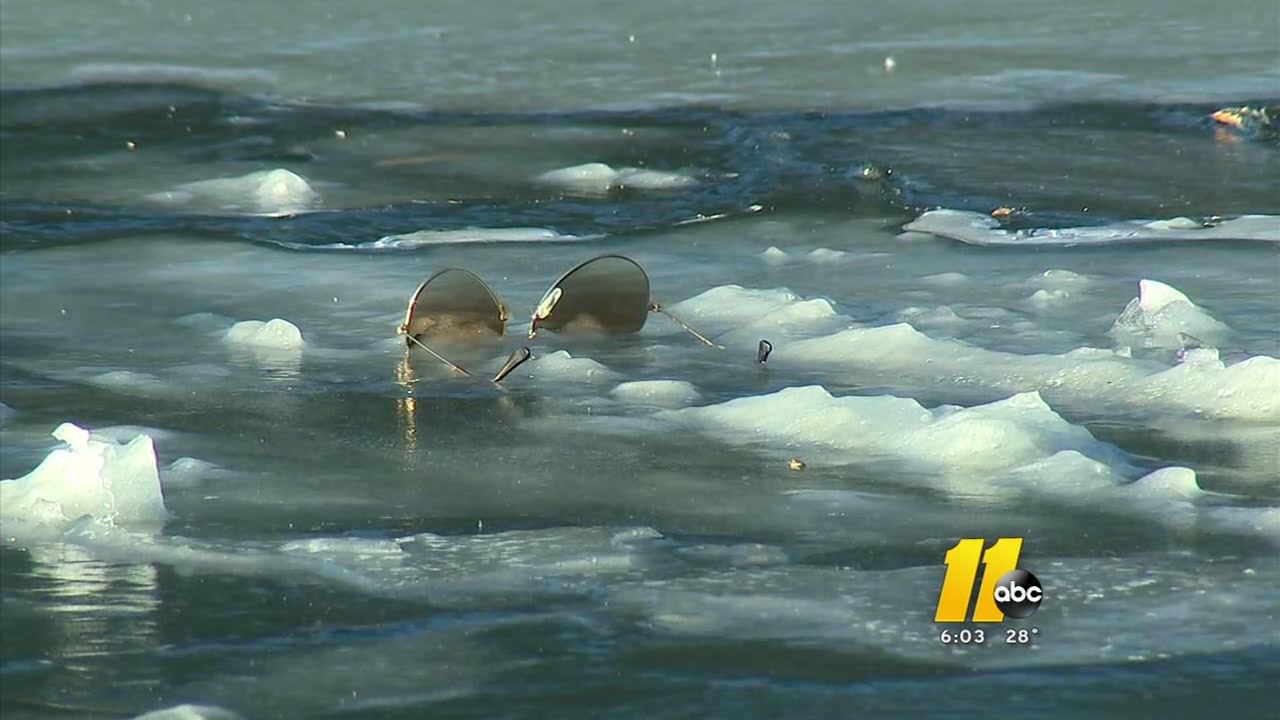 A Cary woman and her dogs had to be saved after falling through an icy pond