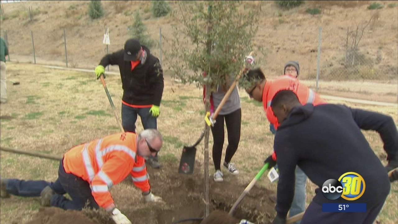 Non-profit plants trees to tackle pollution in Central Valley