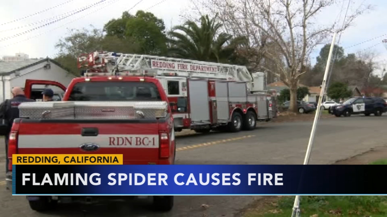 Attempt to kill spider starts fire