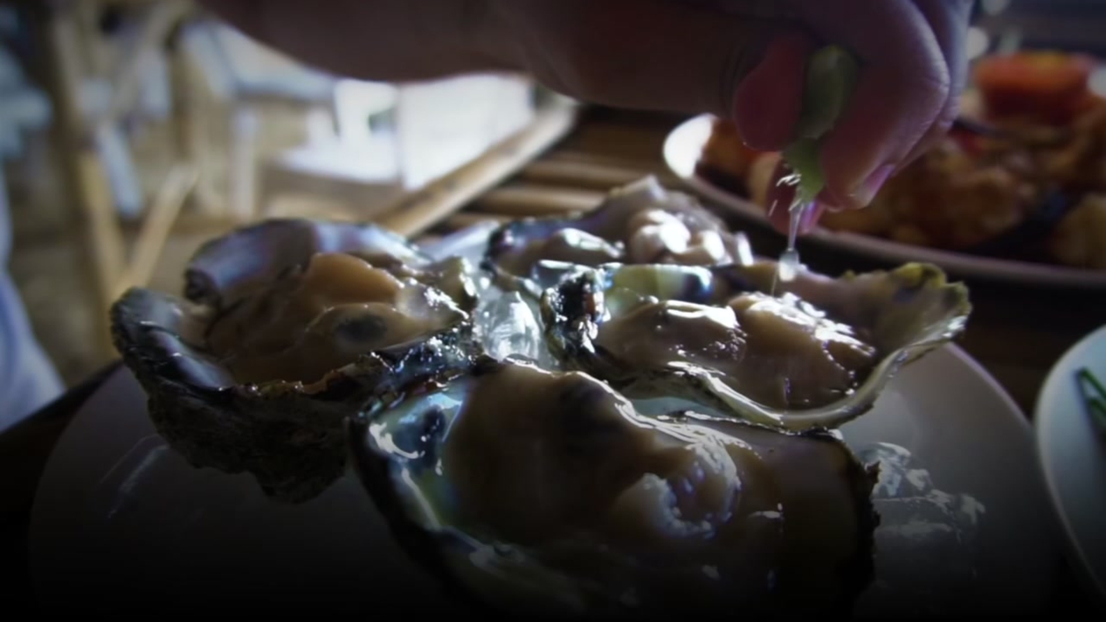 Fact or fiction The true facts about eating raw oysters ABC13 Houston