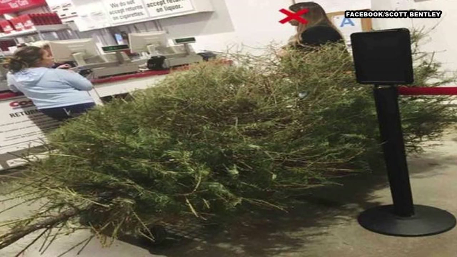 Costco Christmas Tree Replacement Parts Reviewmotors.co