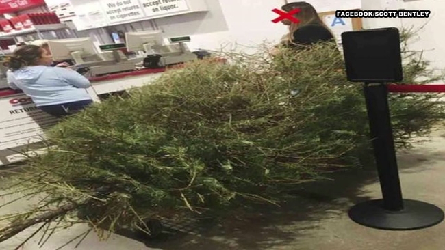 Man Irate After Costco Lets Woman Return Dead Christmas Tree In January Man Irate After Costco Lets Woman Return Dead Christmas Tree In January