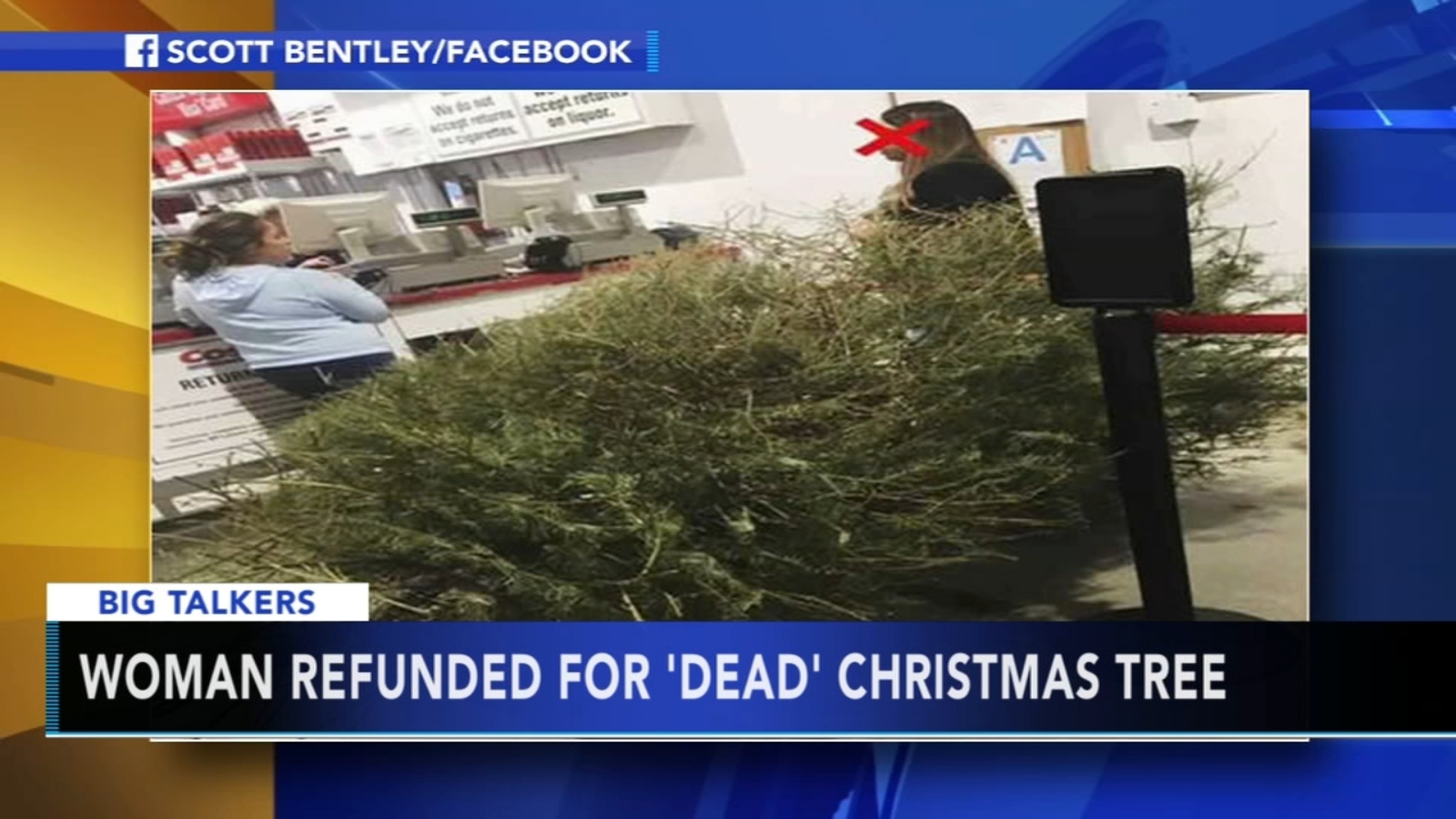 Man irate after Costco lets woman return dead Christmas tree in January