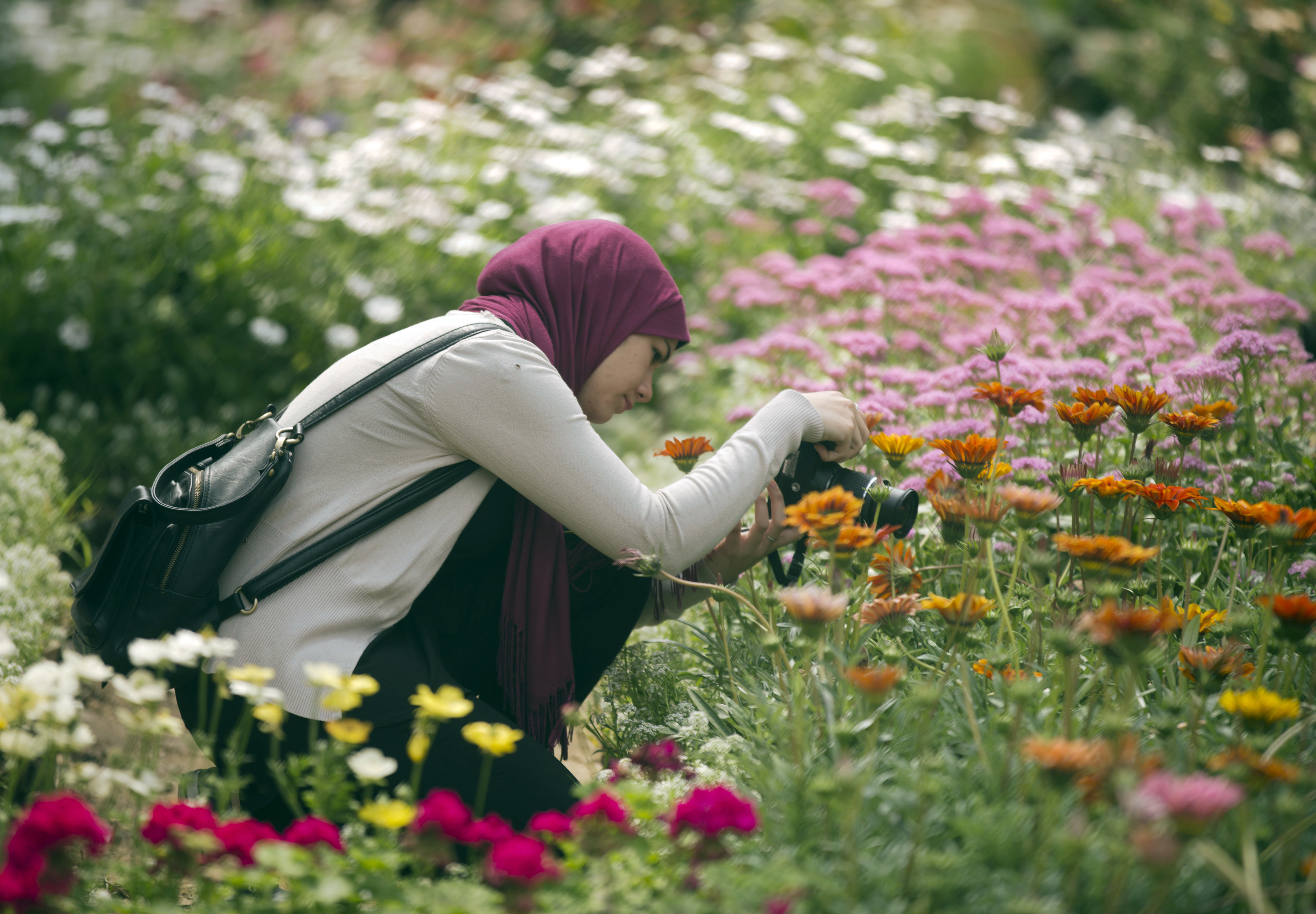 A visitor takes pictures at the Spring Flowers exhibition at the Orman Garden, in Cairo, Egypt.