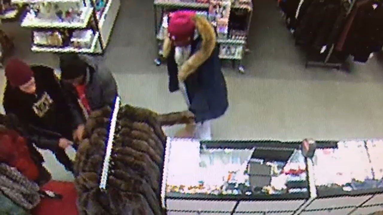 Suspects sought in Macy's fur coat theft