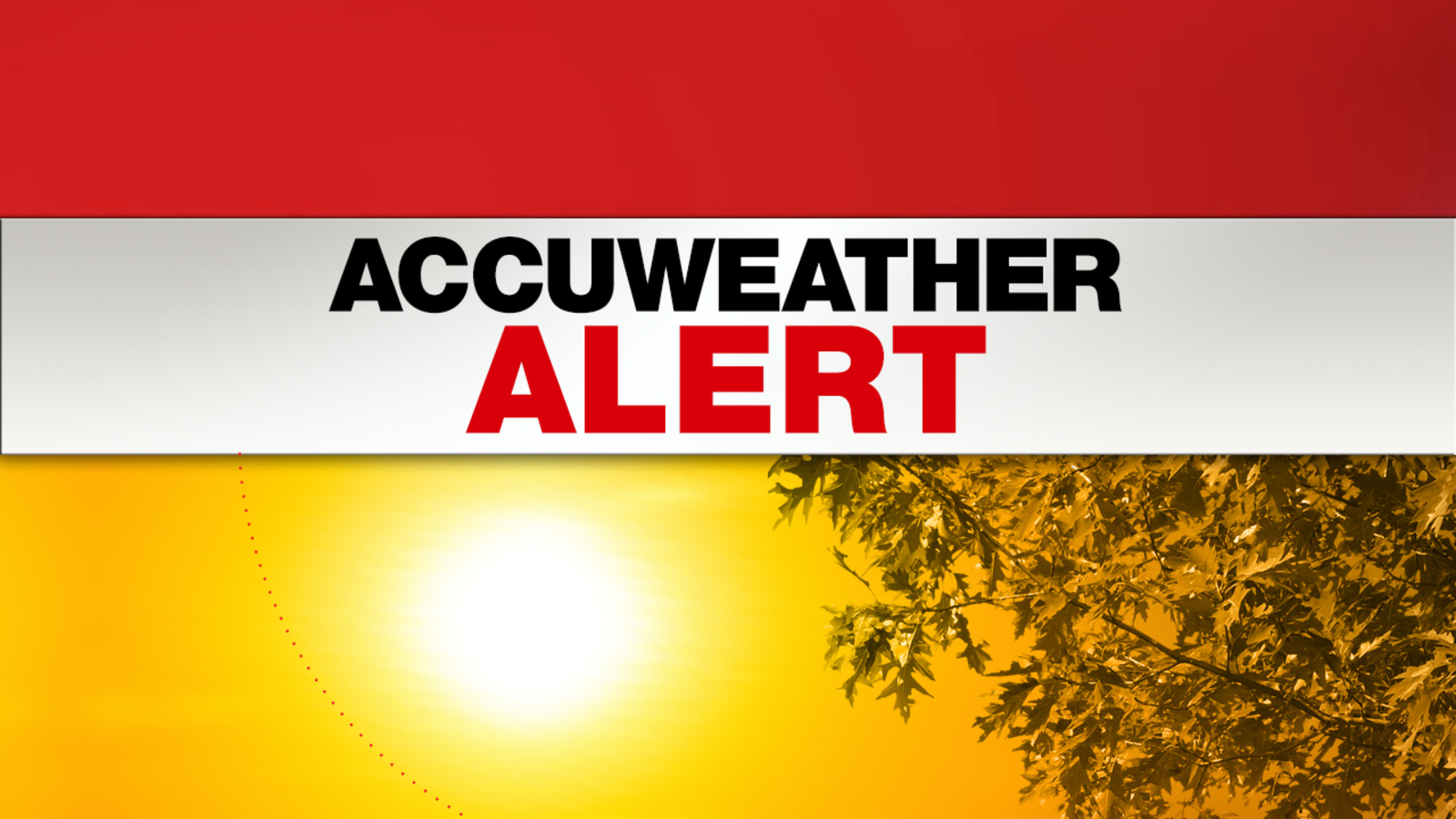 AccuWeather Planner ABC7 New York