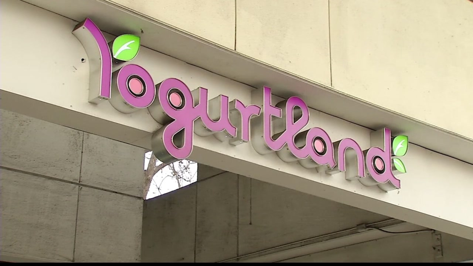 Bay Area LIFE International Frozen Yogurt Day ABC7 San Francisco