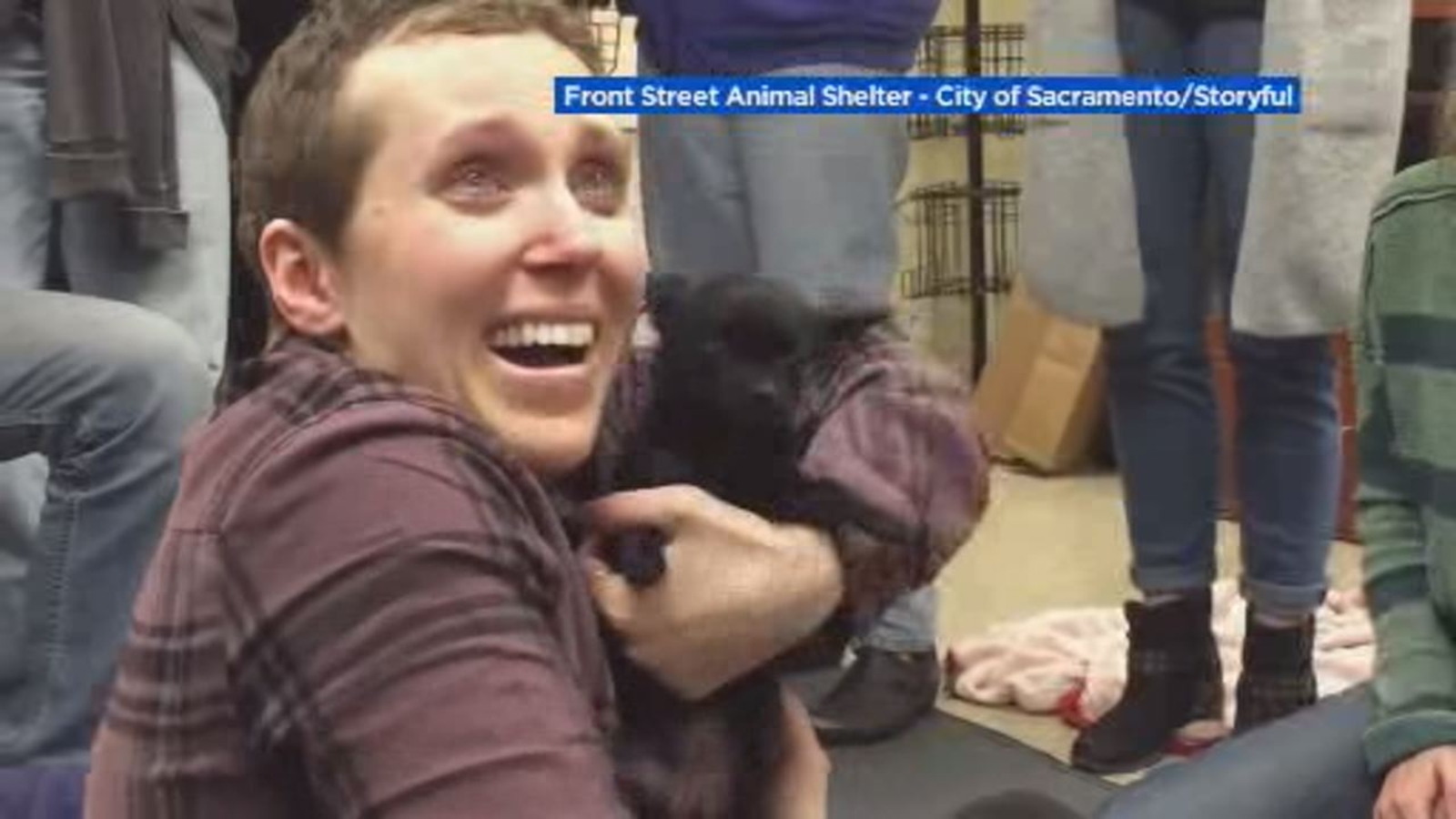 Cancer-stricken woman lives out dream after being showered with puppies at Sacramento shelter - ABC7 San Francisco