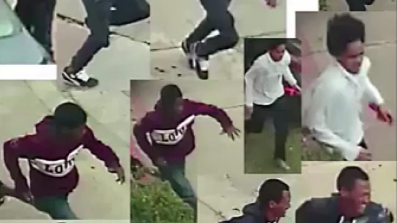 'Young' suspects allegedly pointed gun at pregnant woman's belly