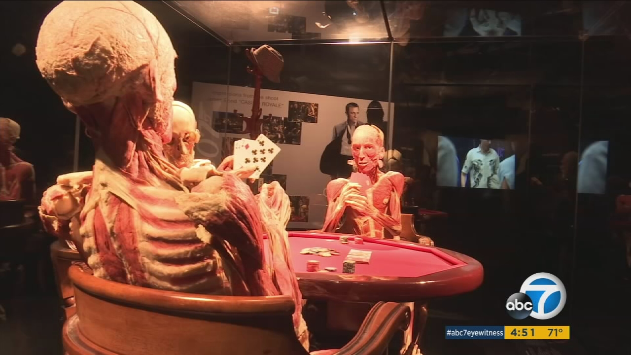 012318-kabc-4pm-coh-body-worlds-vid