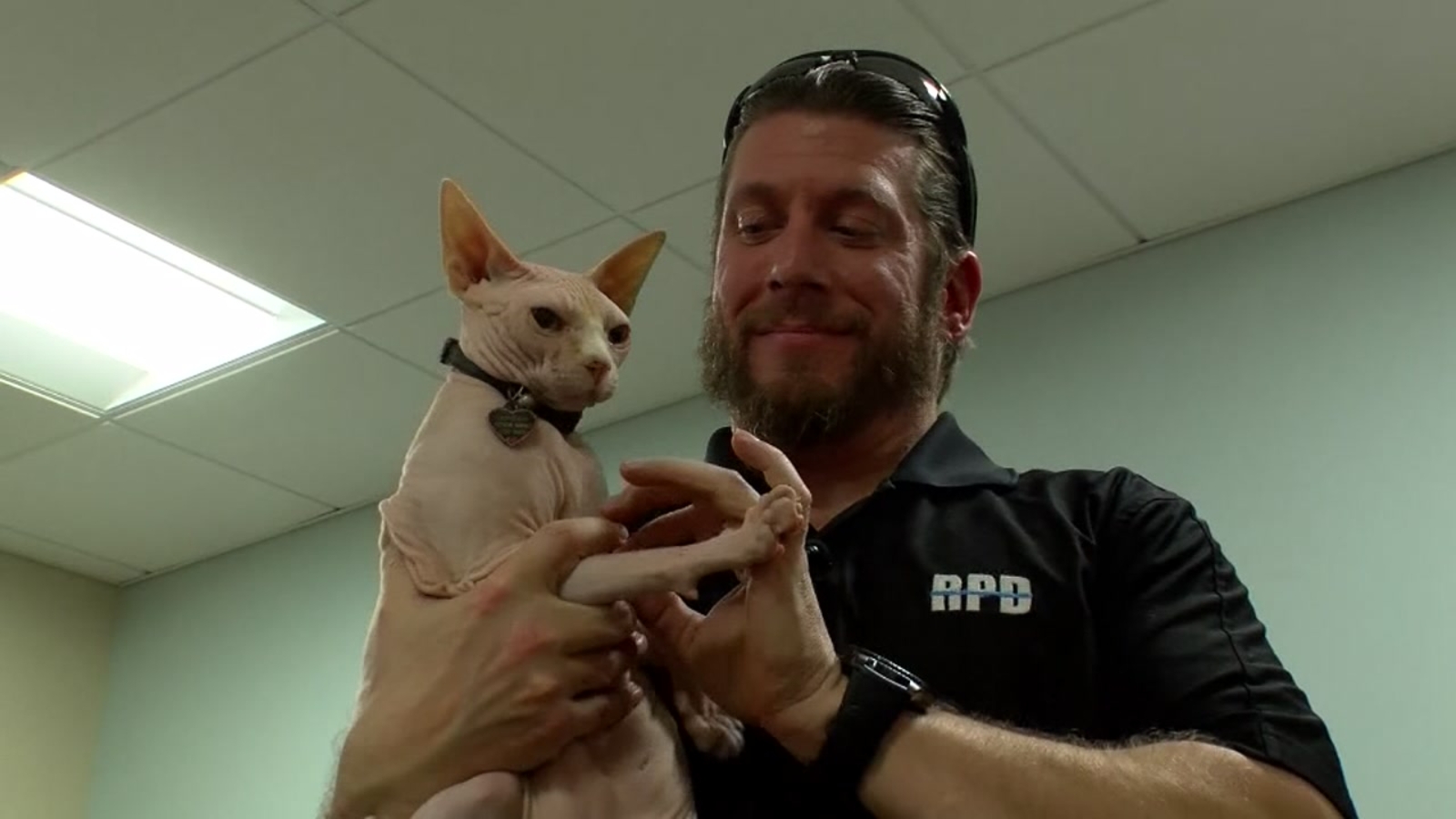 Virginia officer on secret mission with hairless cats to make people