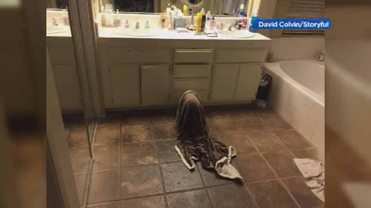 Dog refuses to take off blanket while going for midnight snack 