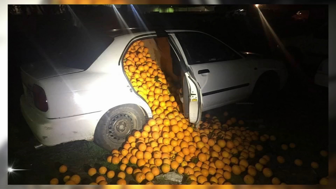 Great orange heist in Spain