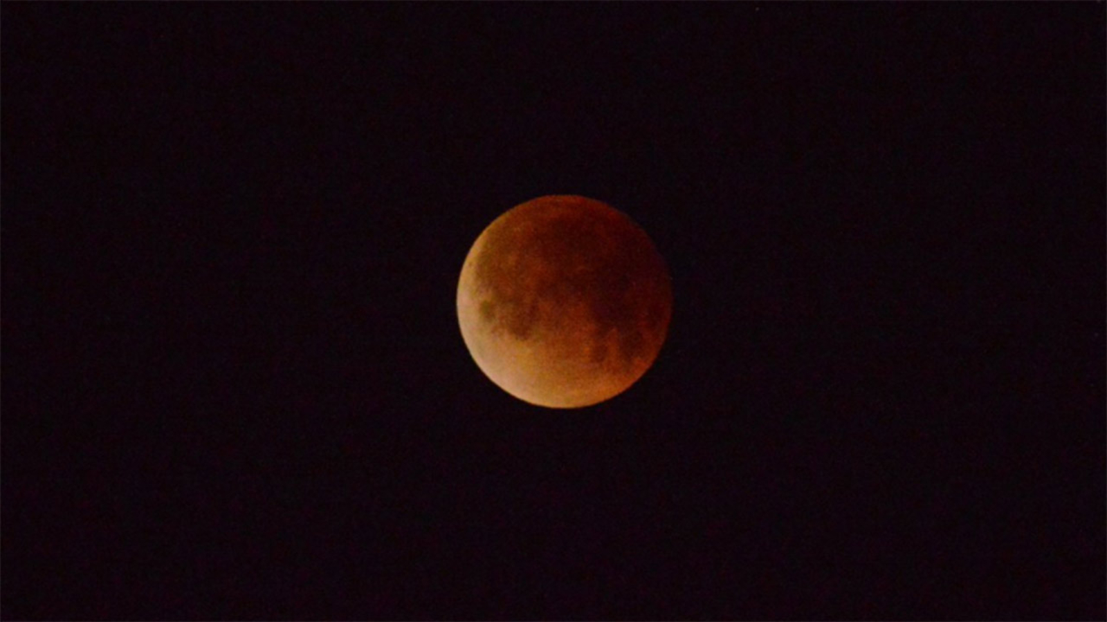PHOTOS: Super blue blood moon over Bay Area - ABC7 San Francisco