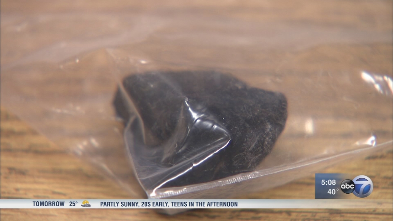 Meteorite pieces found in Michigan now at Field Museum